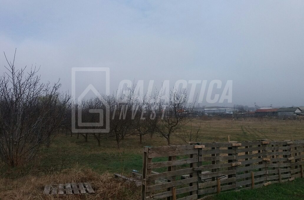 20170321_095135_resized-1