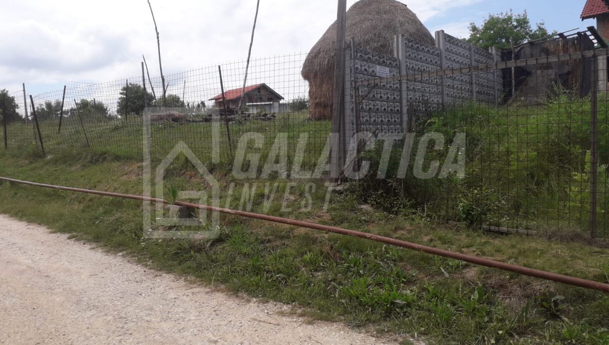 IMG-20190624-WA0009-4