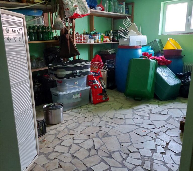 IMG-20220321-WA0017