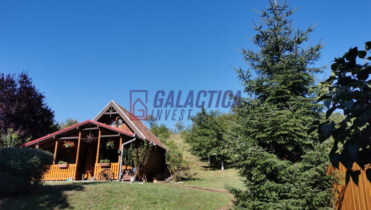 f0b81356-aec0-484b-a431-14459f0eb3c0