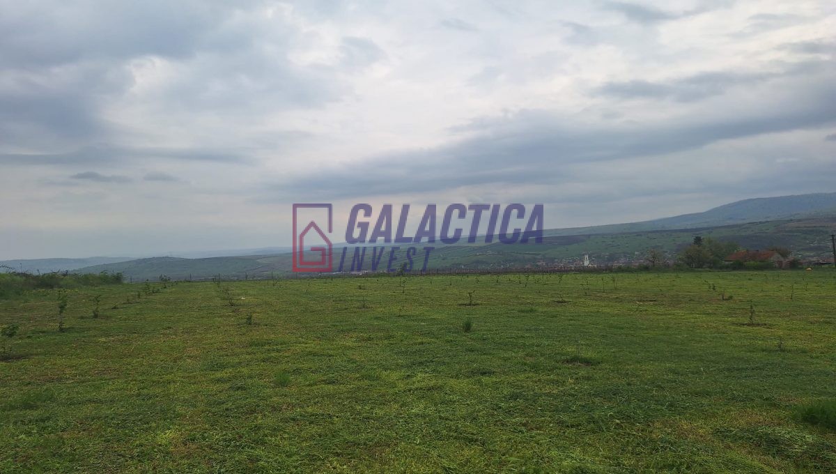 4b6d2380-e848-4917-b635-910aa4deffae