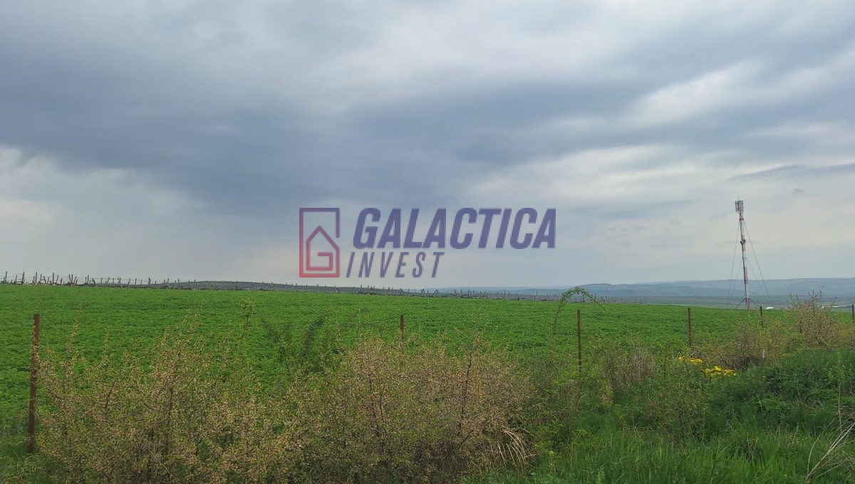 7013f642-136b-4124-9291-56d37491d129