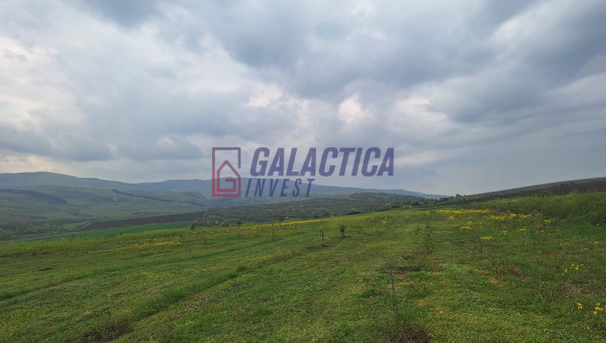 9b7f9f8a-7842-4d0c-afd1-14e1b64360ba