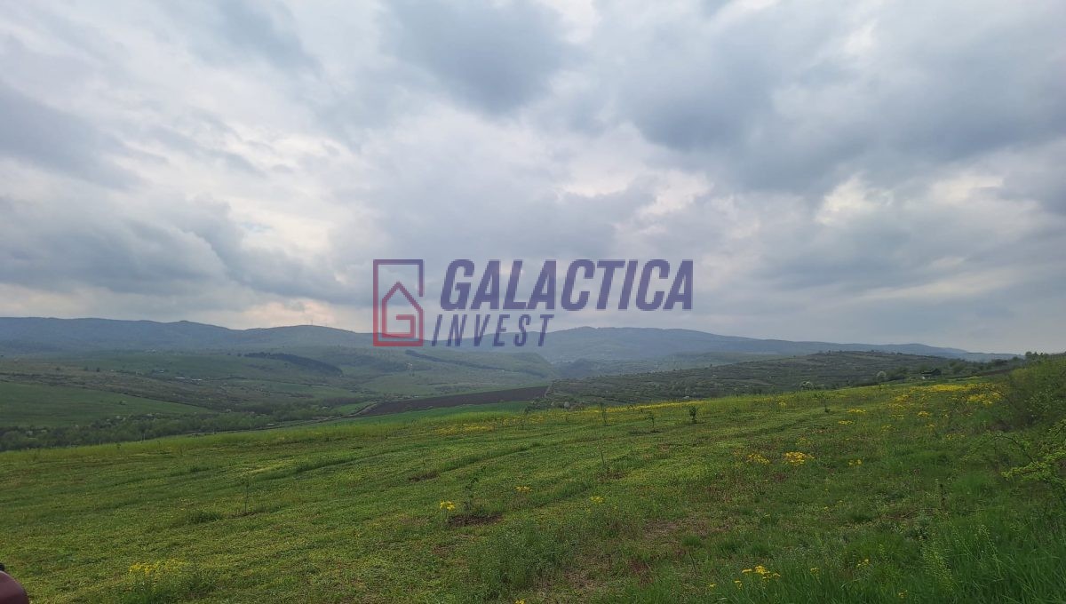 e7eda6a5-918b-414f-bf85-81ec297cd15e