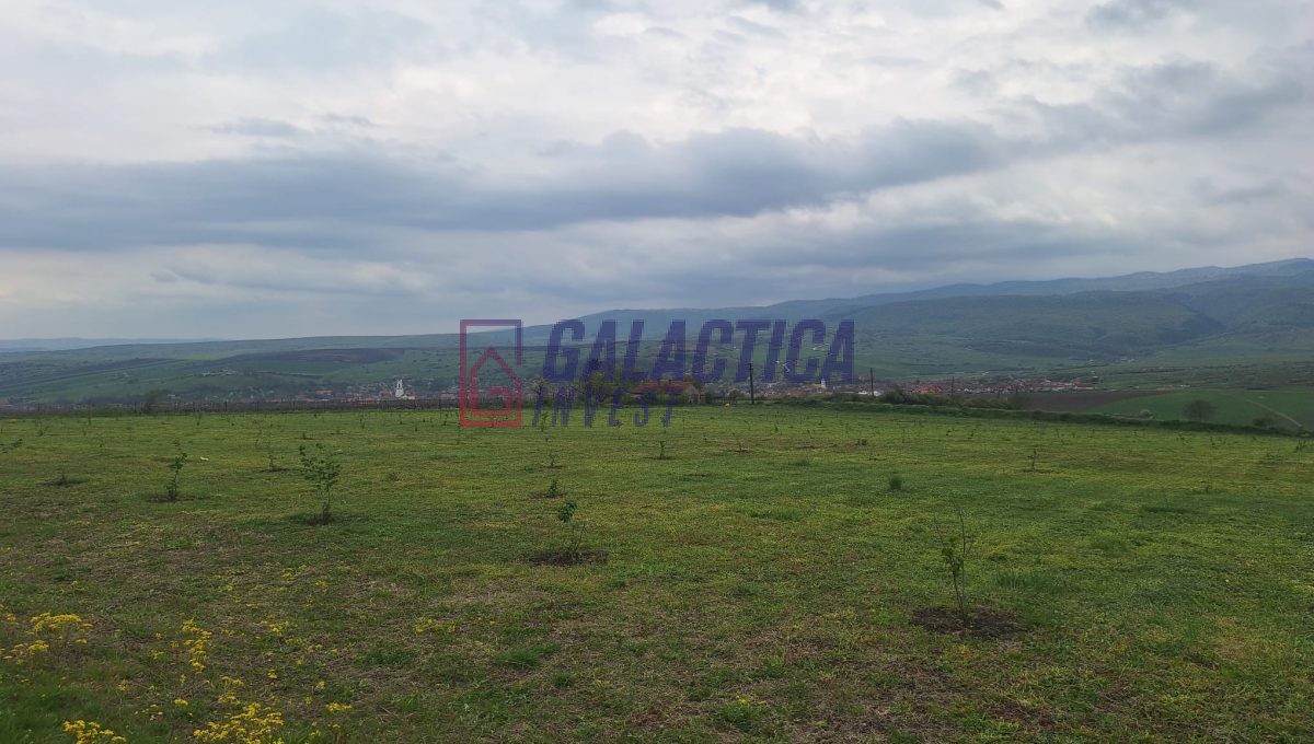 efb31b75-091b-43a8-a95a-3f52ac5b16dd